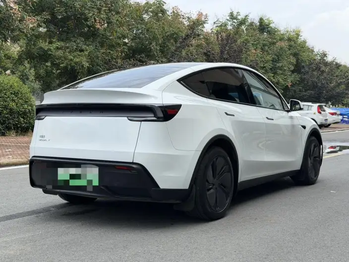 Model Y 2025 Model Rear-wheel drive version – фото 6