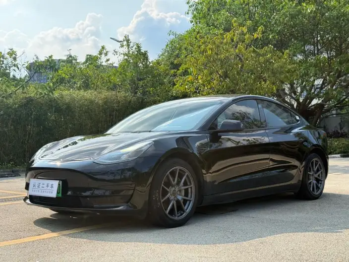 Model 3 2022 Model Rear-wheel drive version – фото 1