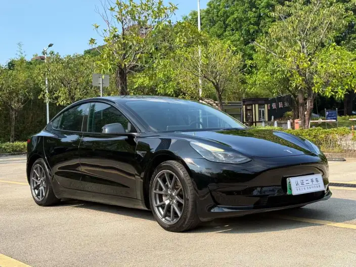 Model 3 2022 Model Rear-wheel drive version – фото 3