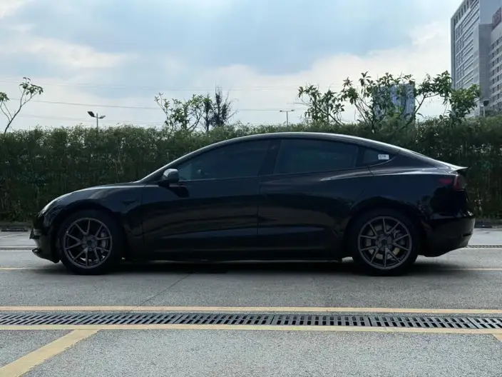 Model 3 2022 Model Rear-wheel drive version – фото 4
