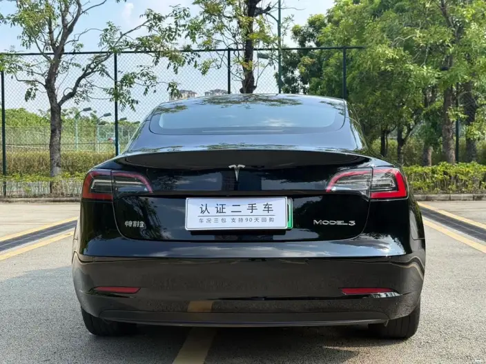 Model 3 2022 Model Rear-wheel drive version – фото 6