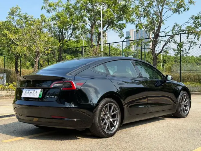 Model 3 2022 Model Rear-wheel drive version – фото 7