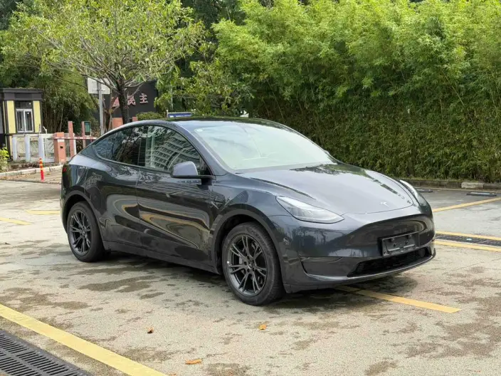 Model Y 2024 Model Long Battery Life Pro All-wheel drive version