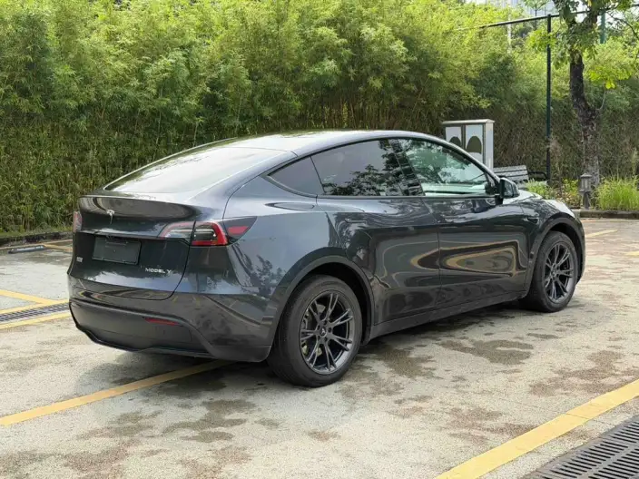 Model Y 2024 Model Long Battery Life Pro All-wheel drive version – фото 5