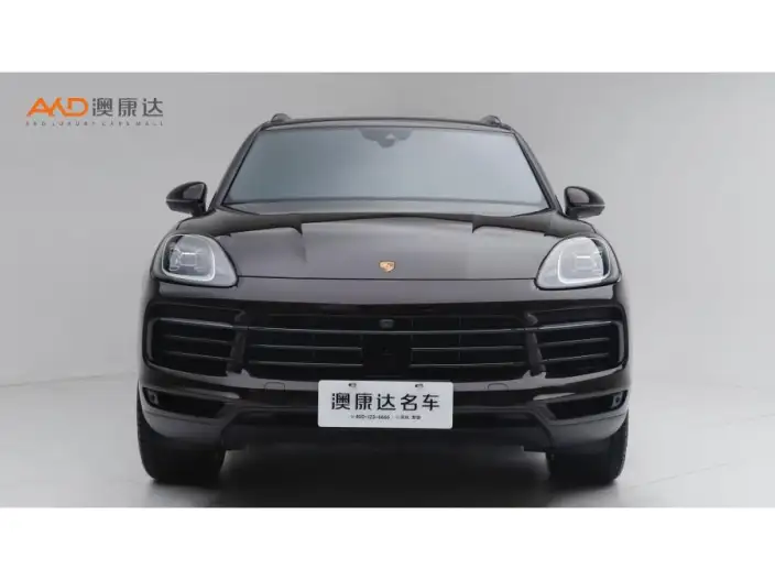 Cayenne 2023 Model Cayenne 3.0T Platinum edition – фото 2