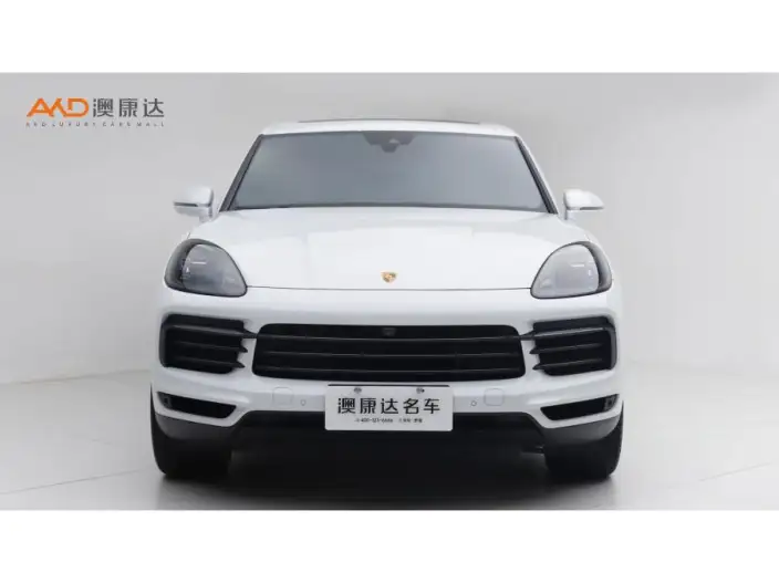 Cayenne 2023 Model Cayenne 3.0T Platinum edition – фото 2