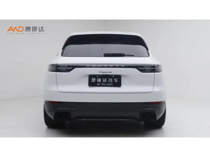 Cayenne 2023 Model Cayenne 3.0T Platinum edition – фото 3