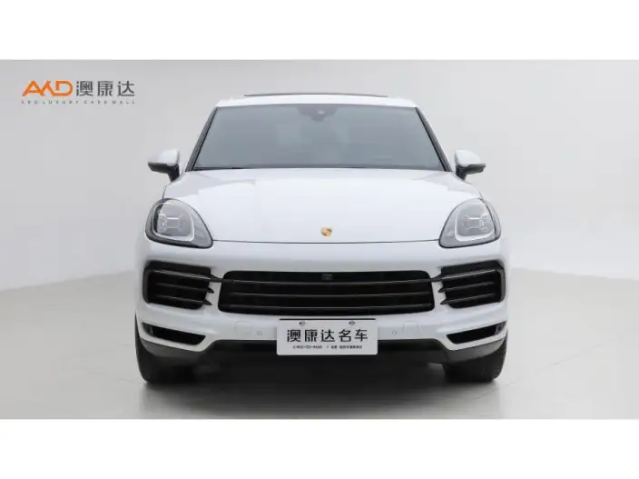 Cayenne 2023 Model Cayenne 3.0T Platinum edition – фото 2