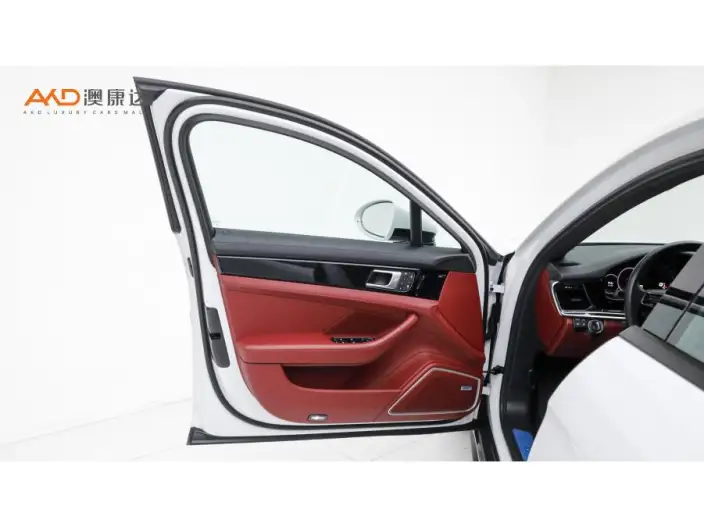 Panamera 2022 Model Panamera Executive Extended Platinum Edition 2.9T – фото 10