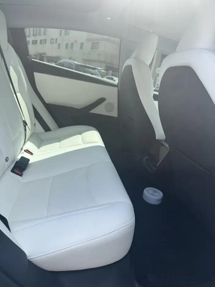 Model 3 2025 Model Rear-wheel drive version – фото 9