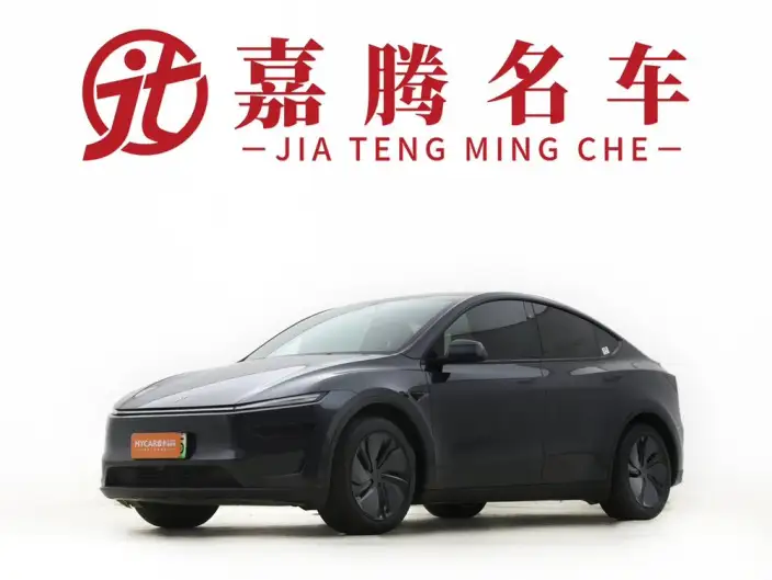 Model Y 2025 Model Rear-wheel drive version – фото 1