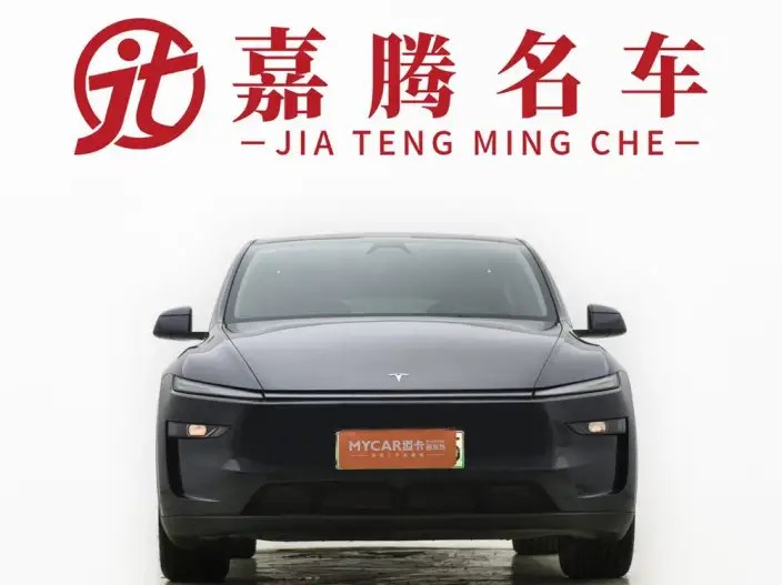 Model Y 2025 Model Rear-wheel drive version – фото 2