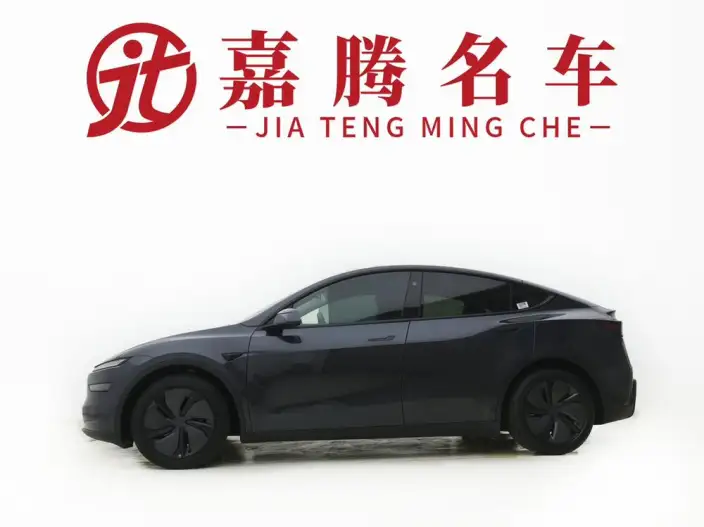 Model Y 2025 Model Rear-wheel drive version – фото 3