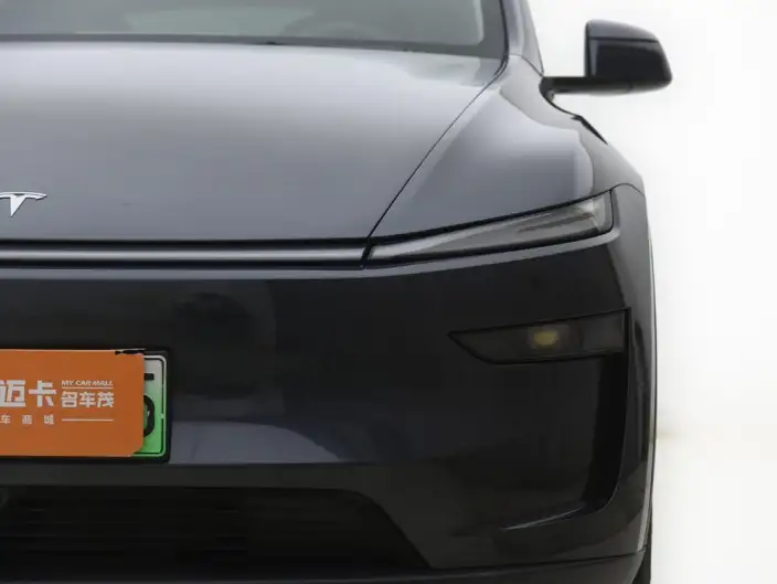 Model Y 2025 Model Rear-wheel drive version – фото 6