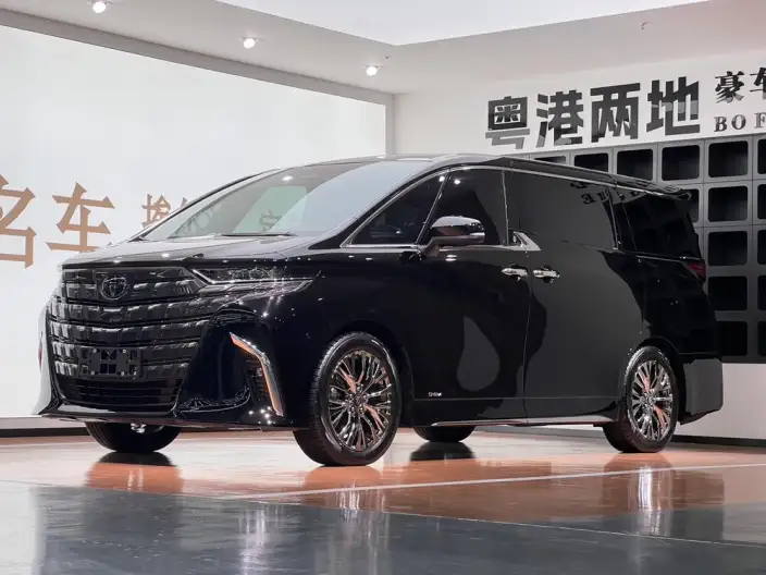Elfa 2025 Model 2.5L Intelligent Hybrid 4WD Zhen Xiang Gold Edition – фото 1