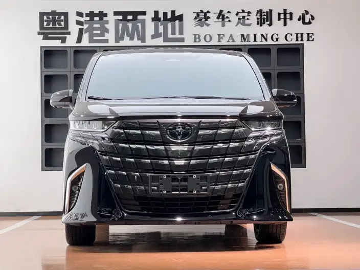 Elfa 2025 Model 2.5L Intelligent Hybrid 4WD Zhen Xiang Gold Edition – фото 2