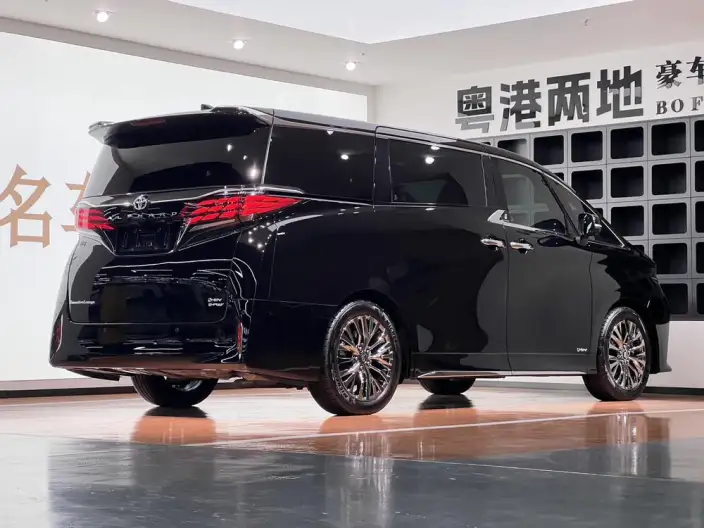 Elfa 2025 Model 2.5L Intelligent Hybrid 4WD Zhen Xiang Gold Edition – фото 5