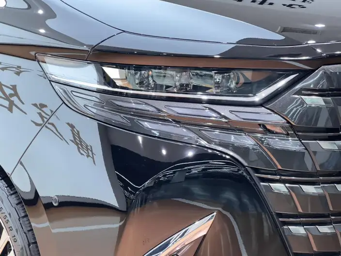 Elfa 2025 Model 2.5L Intelligent Hybrid 4WD Zhen Xiang Gold Edition – фото 8