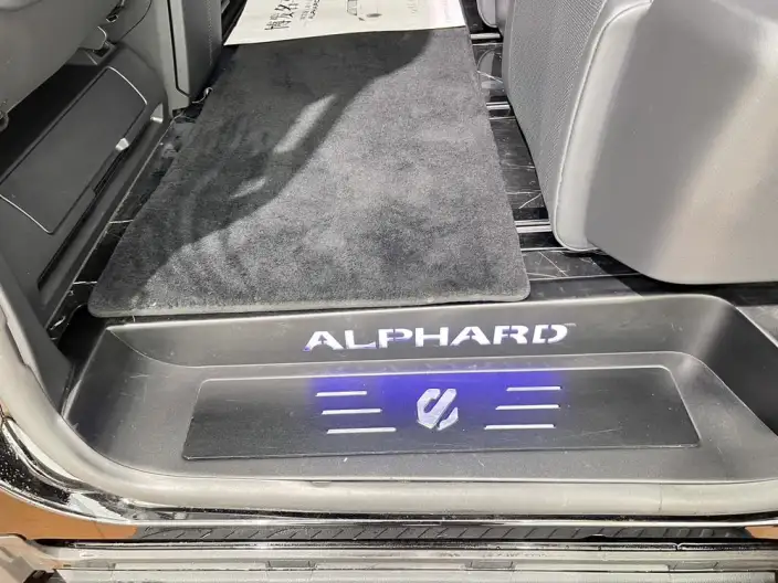 Elfa 2025 Model 2.5L Intelligent Hybrid 4WD Zhen Xiang Gold Edition – фото 10