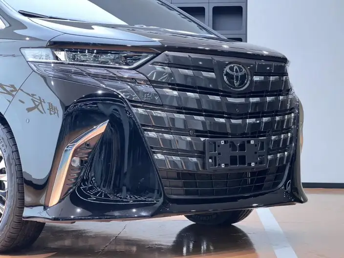 Elfa 2025 Model 2.5L Intelligent Hybrid 4WD Zhen Xiang Gold Edition – фото 13