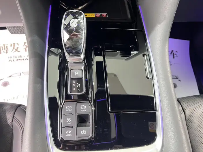 Elfa 2025 Model 2.5L Intelligent Hybrid 4WD Zhen Xiang Gold Edition – фото 20