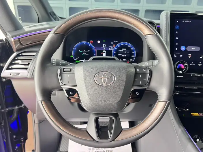 Elfa 2025 Model 2.5L Intelligent Hybrid 4WD Zhen Xiang Gold Edition – фото 30