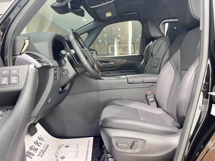 Elfa 2025 Model 2.5L Intelligent Hybrid 4WD Zhen Xiang Gold Edition – фото 32