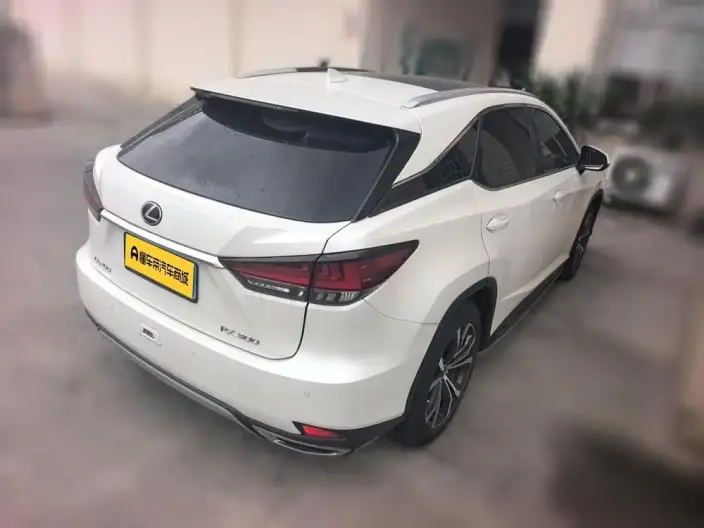 Lexus RX 2020 Model 300 4WD Elegant Edition China VI – фото 2