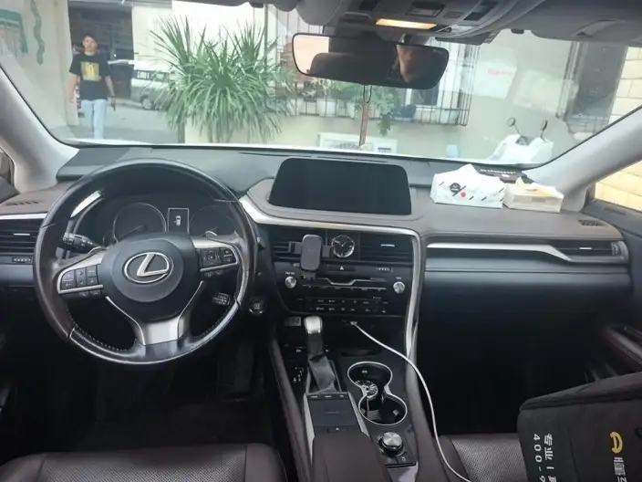 Lexus RX 2020 Model 300 4WD Elegant Edition China VI – фото 5