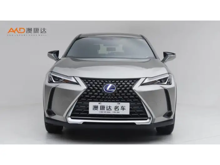 Lexus UX 2020 Model 260h Tan · Cool Edition China VI – фото 2