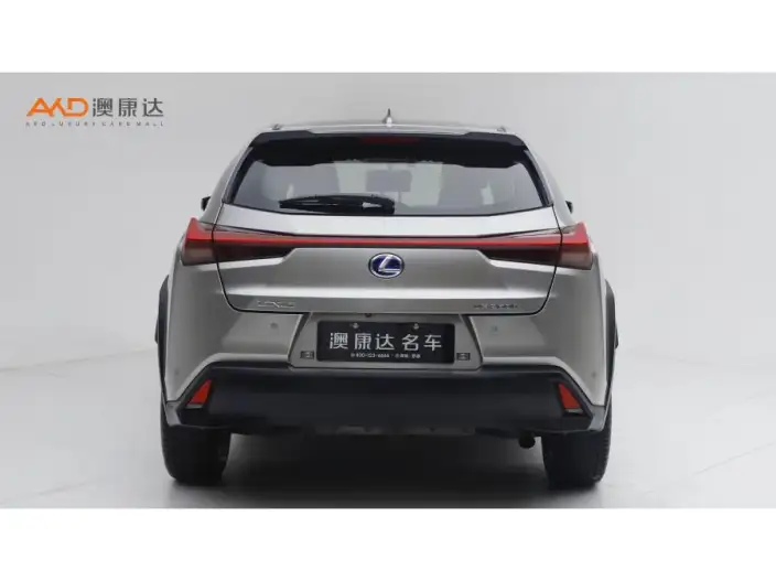 Lexus UX 2020 Model 260h Tan · Cool Edition China VI – фото 3
