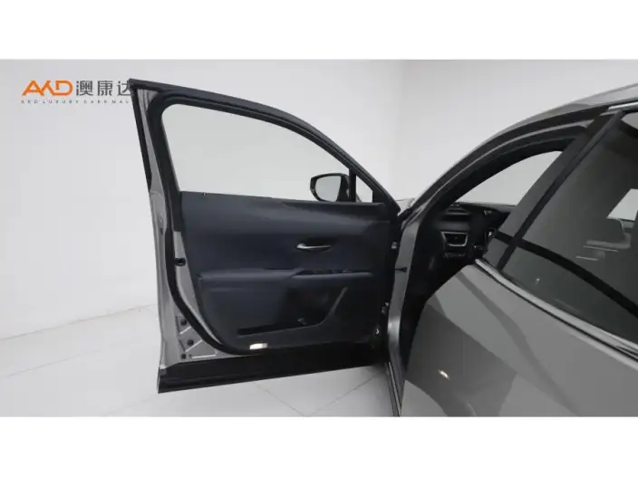 Lexus UX 2020 Model 260h Tan · Cool Edition China VI – фото 9