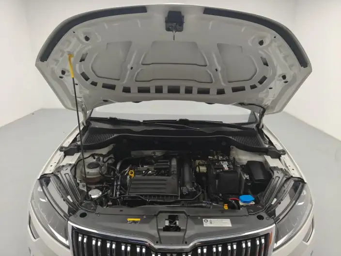 Karoq 2021 Model TSI280 Technology Edition – фото 10
