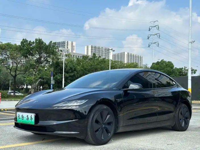 Model 3 2023 Model Rear-wheel drive version – фото 1
