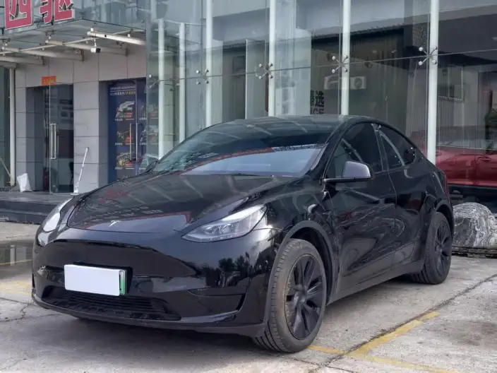 Model Y 2023 Model Rear-wheel drive version – фото 1