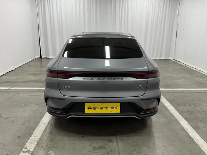 BYD Han DM 2022 Model DM-i 121KM Exclusive Model – фото 6