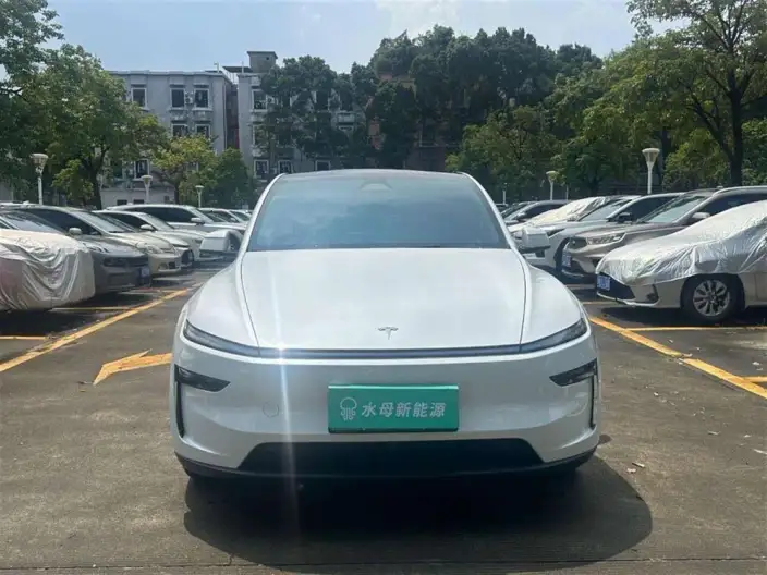 Model Y 2025 Model Rear-wheel drive version – фото 2