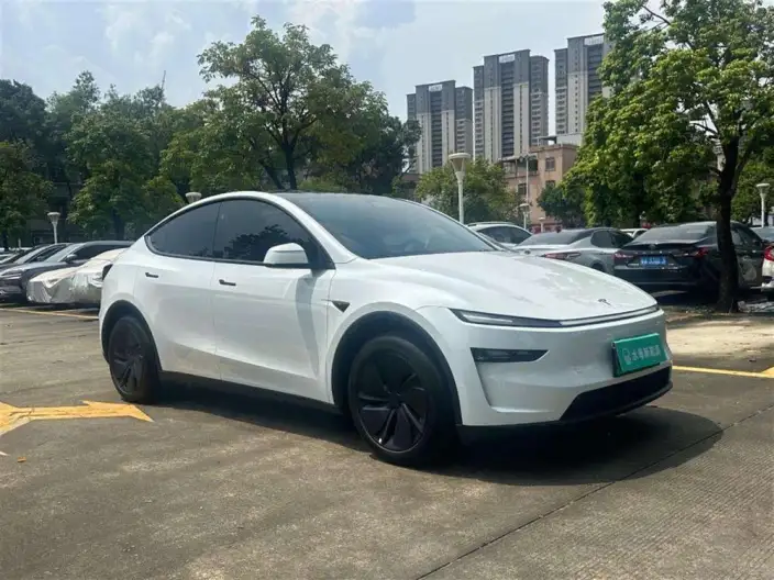 Model Y 2025 Model Rear-wheel drive version – фото 3