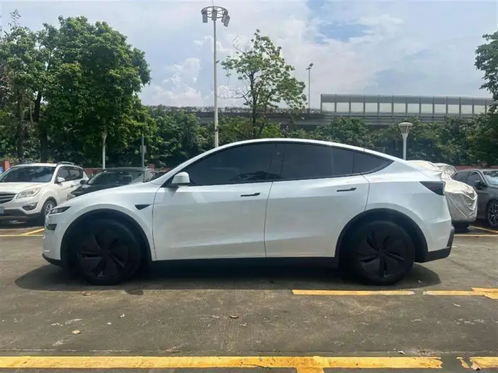 Model Y 2025 Model Rear-wheel drive version – фото 4