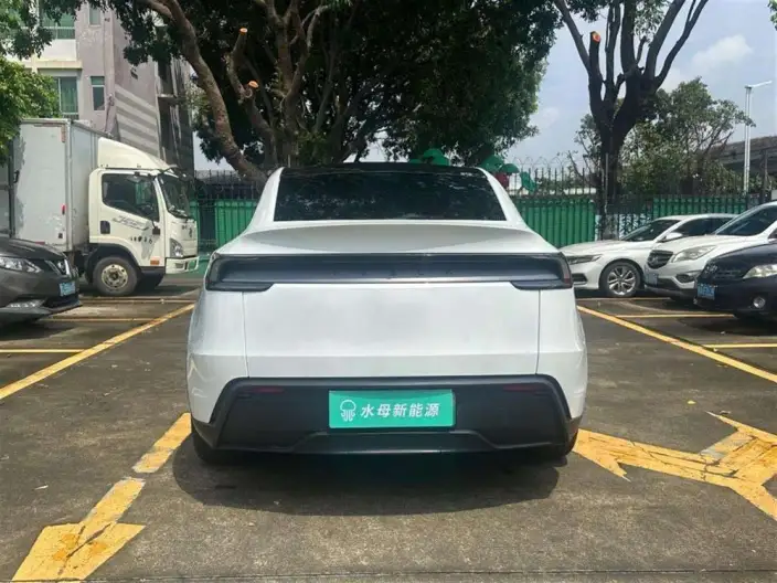 Model Y 2025 Model Rear-wheel drive version – фото 6