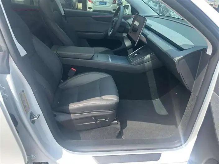 Model Y 2025 Model Rear-wheel drive version – фото 12