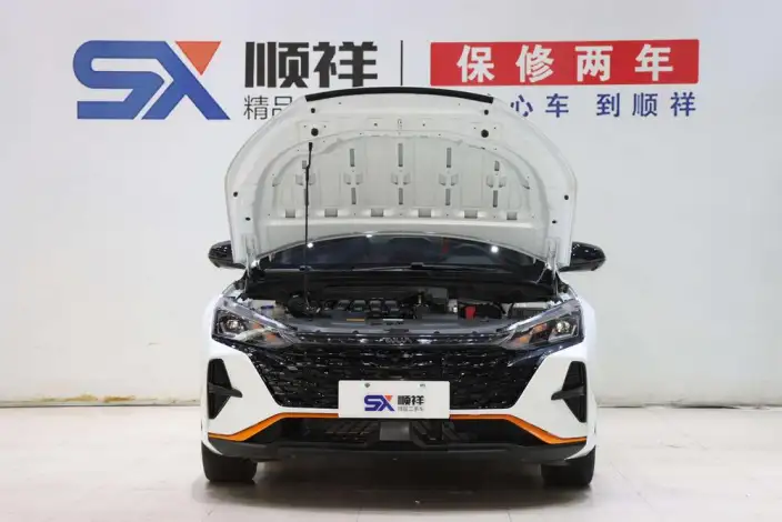Yixuan 2023 Model Mach Version 1.5L Automatic Follow-up version – фото 9