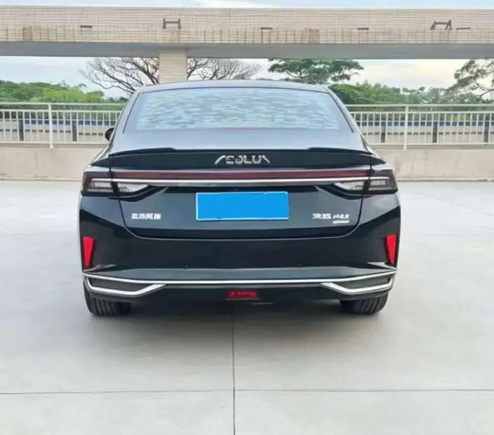 Yixuan Max 2021 Model 1.5T Super cool trendy Dad version – фото 5