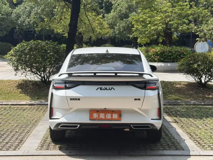 Yixuan 2024 Model 1.5L Automatic Speed Edition – фото 5