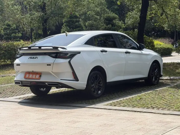 Yixuan 2024 Model 1.5L Automatic Speed Edition – фото 6