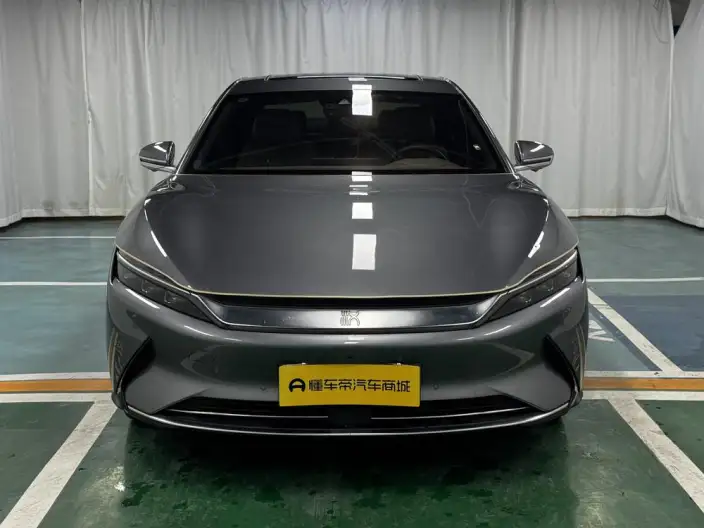 BYD Han EV 2020 Model Ultra-long Endurance Noble Model – фото 2