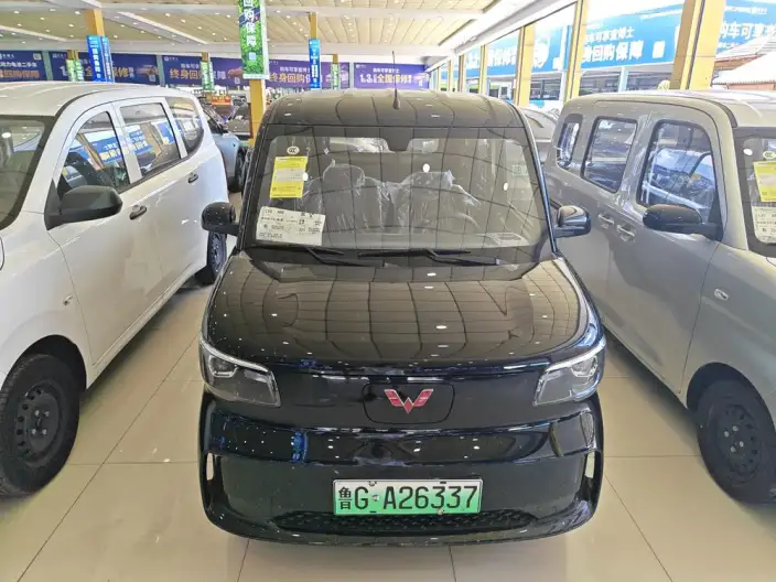 WULING Sunshine EV 2025 Model Standard Model – фото 2