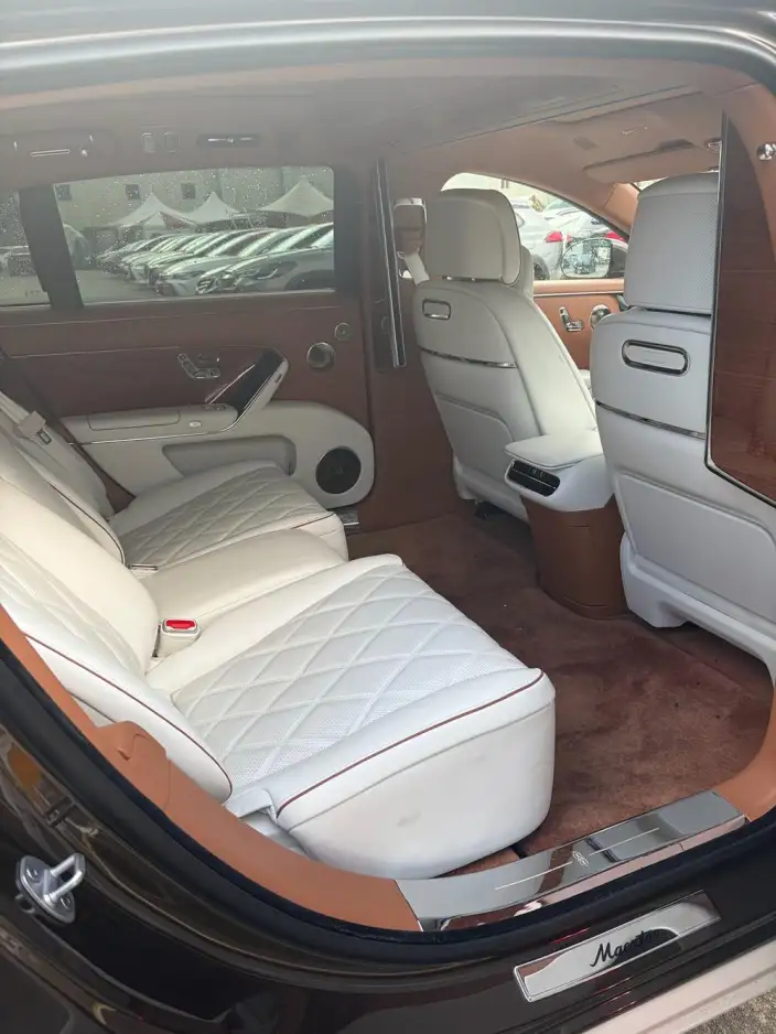 Zunjie S800 2025 Model Extended Range Starlight Exclusive Edition 5 seat – фото 7