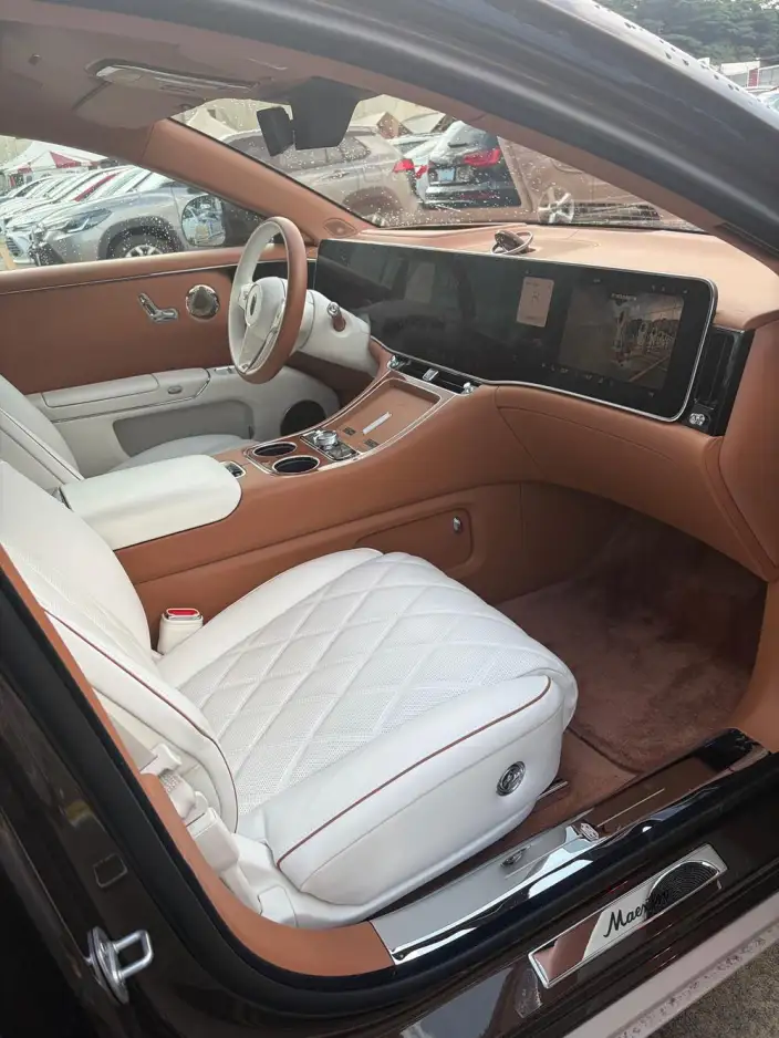 Zunjie S800 2025 Model Extended Range Starlight Exclusive Edition 5 seat – фото 8