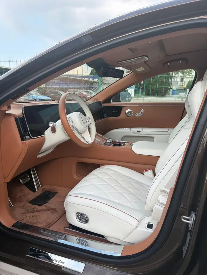 Zunjie S800 2025 Model Extended Range Starlight Exclusive Edition 5 seat – фото 10